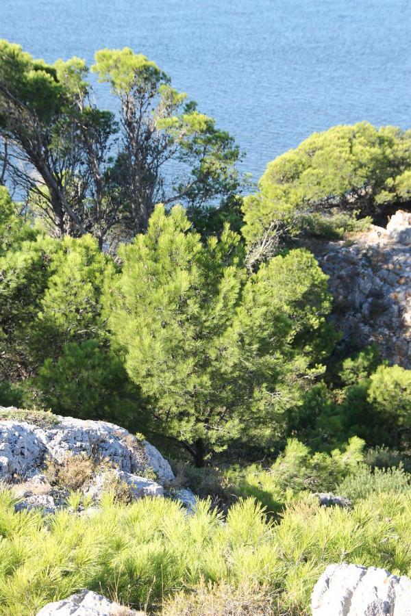 La Maison Narbonnaise Ναρμπόν Εξωτερικό φωτογραφία