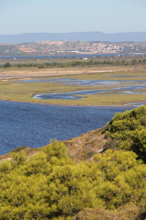 La Maison Narbonnaise Ναρμπόν Εξωτερικό φωτογραφία